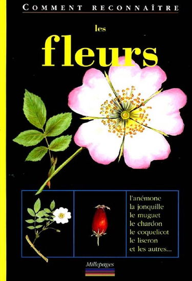 Les fleurs