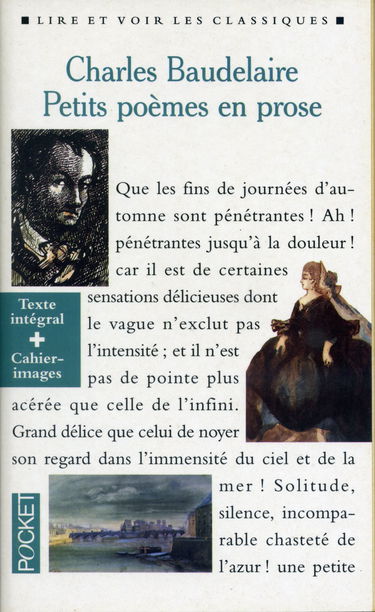 Petits poèmes en prose: Le spleen de Paris