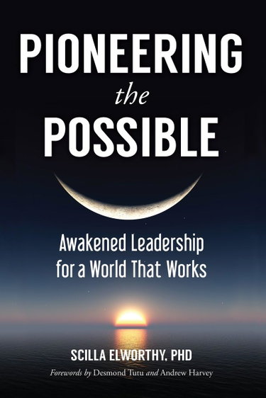 Couverture de Pioneering the Possible: Awakened Leadership for a World That Works-