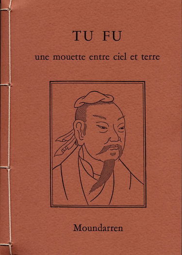 Une mouette entre ciel et terre