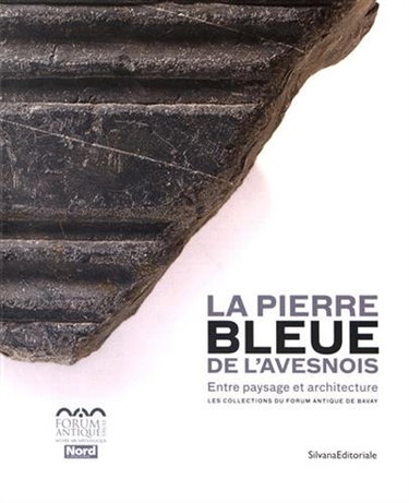 Couverture de La pierre bleue de l'Avesnois : entre paysage et architecture, collections du Forum antique de Bavay