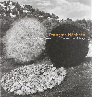 François Méchain : l'exercice des choses