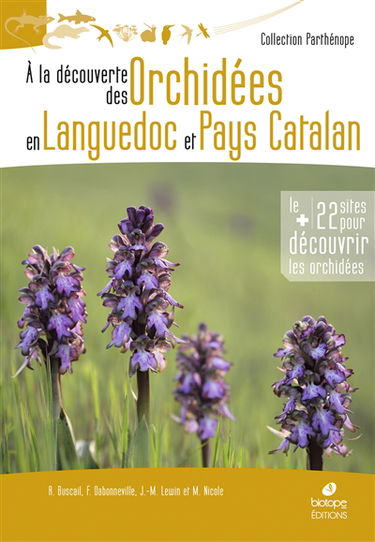 A la découverte des orchidées en Languedoc et Pays catalan