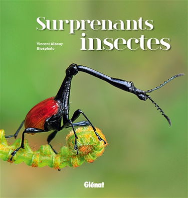 Surprenants insectes