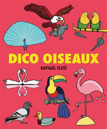 Dico oiseaux