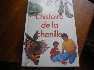 L'Histoire de la chenille