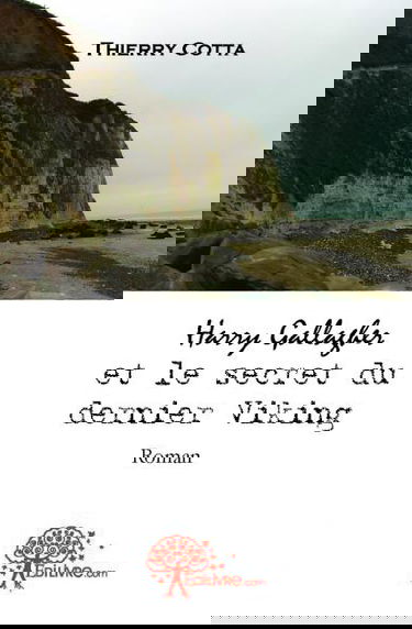 Harry gallagher et le secret du dernier viking : Roman
