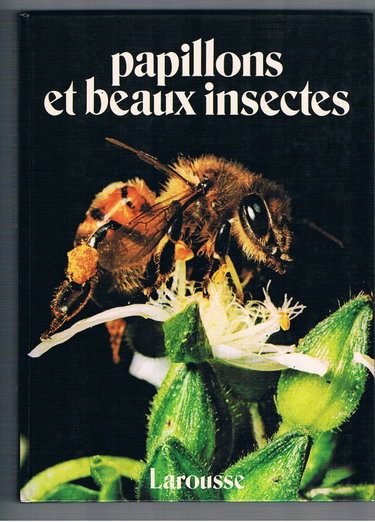 Couverture de Papillons et beaux insectes