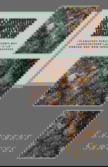 Lire & interpreter les comptes d'une association 1901: L'analyse financiere des associations 1901 a la portee des non-specialistes