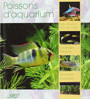 L'aquarium