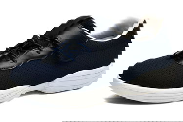 Saqqara Mastabas, Part II (Egyptian Research Account, Eleventh Memoir)