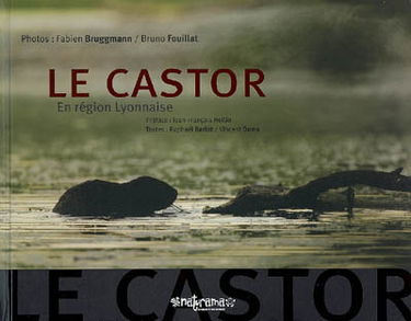 Le castor : en région lyonnaise