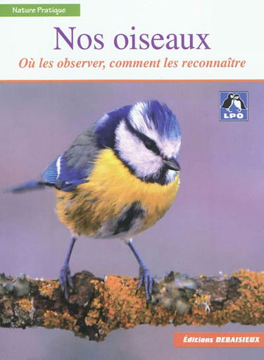 Nos oiseaux : où les observer, comment les reconnaître