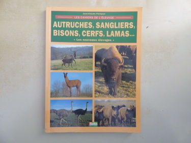 Autruches, sangliers, bisons, cerfs, lamas... : nouveaux élevages