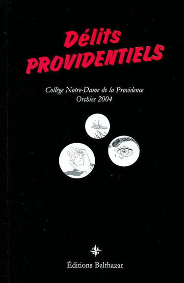 Couverture de Délits providentiels : concours de nouvelles policières