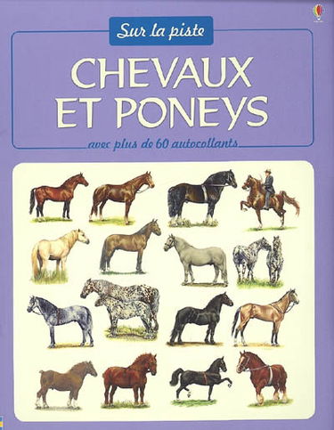 Chevaux et poneys