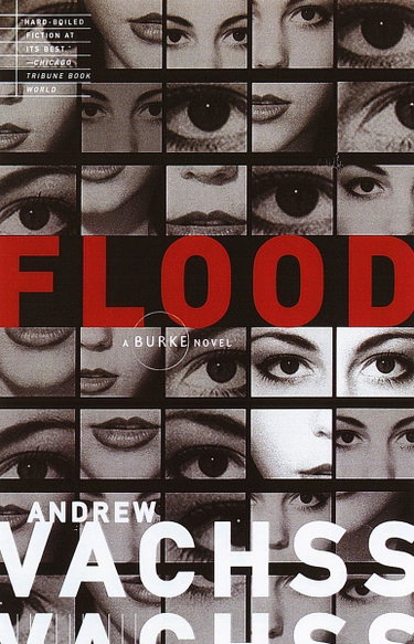 Couverture de Flood