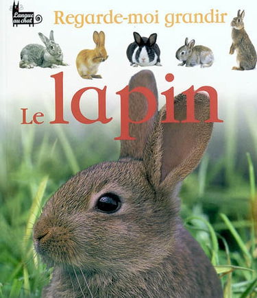 Le lapin