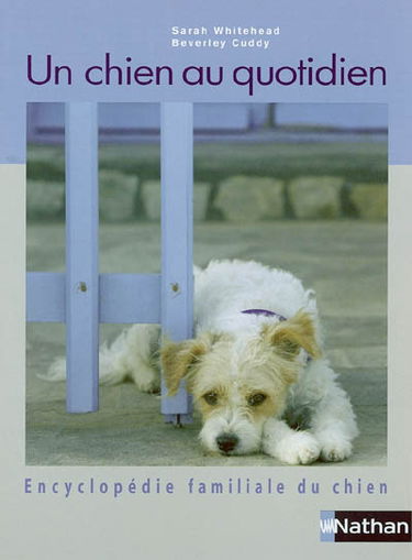 Un chien au quotidien