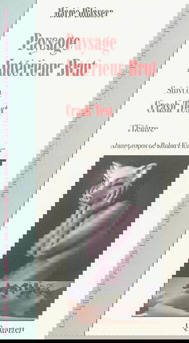 Paysage intérieur brut. Crash test