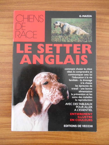 Le setter anglais