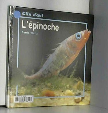 L'Epinoche