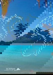 Les chats ont sept vies