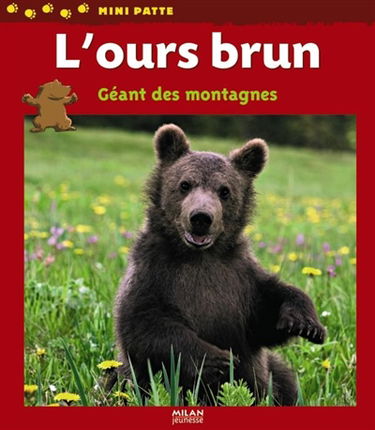 L'ours brun, géant des montagnes
