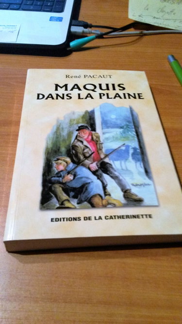 Couverture de Maquis dans la plaine