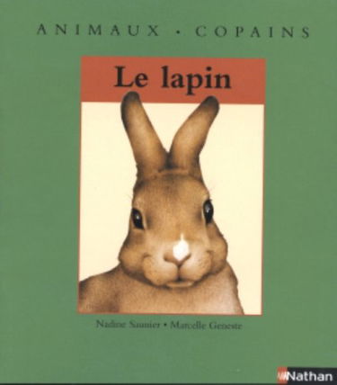 Le dauphin