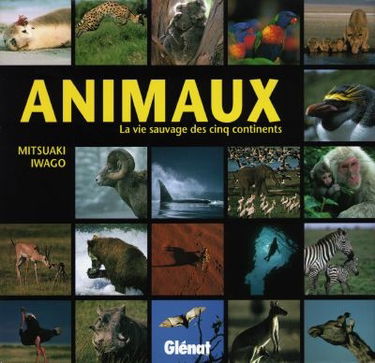 Animaux, la vie sauvage des cinq continents