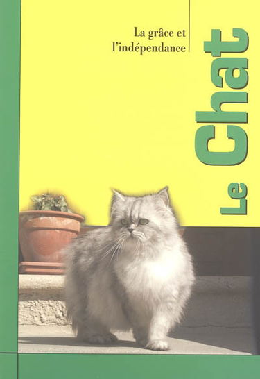 Le chat : la grâce et l'indépendance