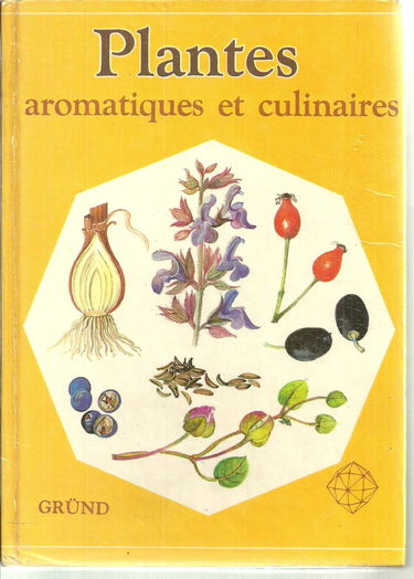 Plantes aromatiques et culinaires