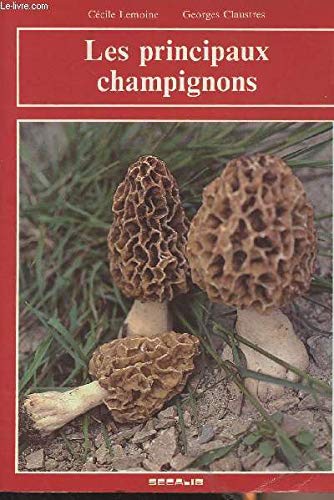 Les Principaux champignons