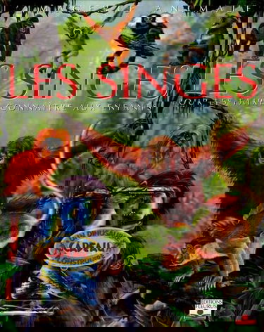 Les singes: Pour les faire connaître aux enfants