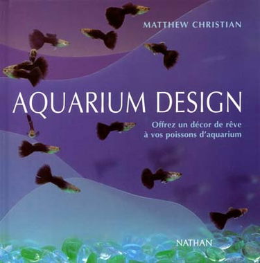 Aquarium design : donnez un habitat de rêve à vos poissons