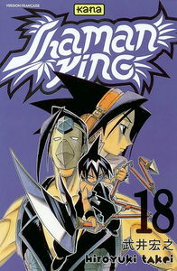 Shaman king. Vol. 18