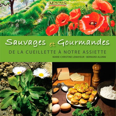 Sauvages et gourmandes : de la cueillette à notre assiette