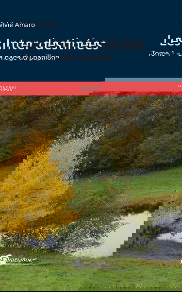 Les Inter destinées – Tome 1