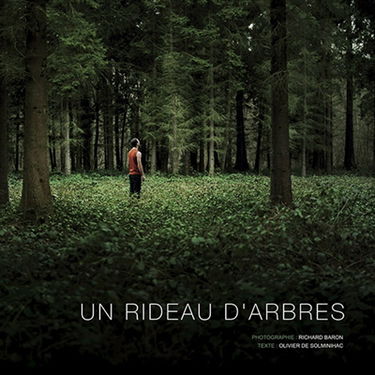 Un rideau d'arbres