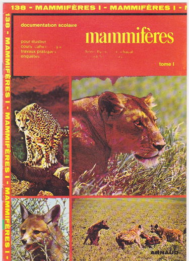 Mamifères. Vol. 1. Félins, hyène, loup, chacal, renard, fennec, ours
