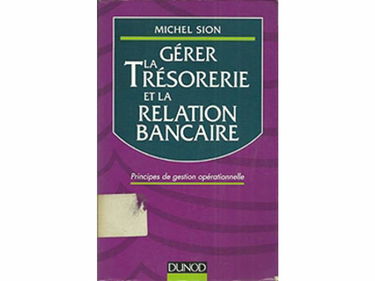 Gerer La Tresorerie Et La Relation Bancaire. Principes De Gestion Operationnelle