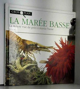 La Marée basse : la nature vue de près à marée basse