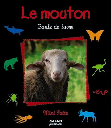 Le mouton, boule de laine