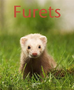Furets