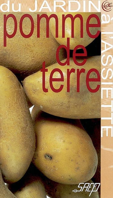 Pomme de terre