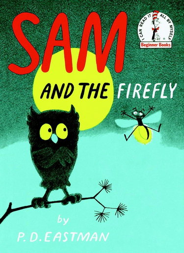 Couverture de Sam and the Firefly