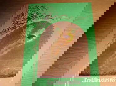 Les Elfes et les fées