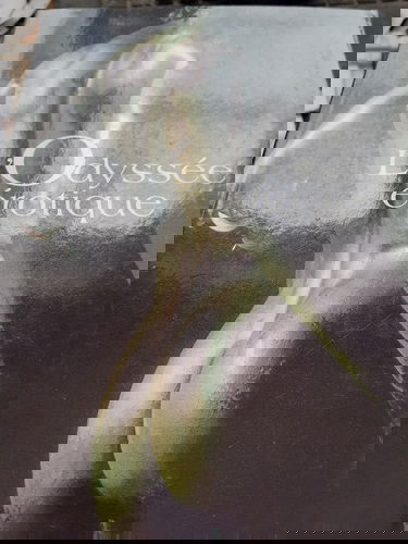 Une Odyssée érotique