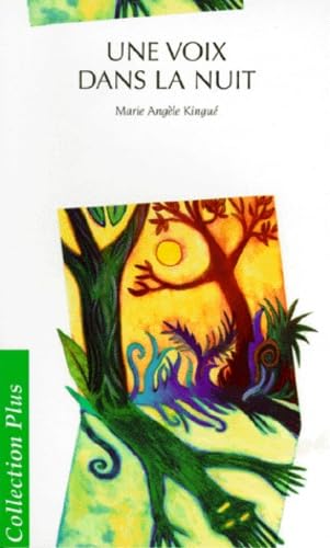 Une voix dans la nuit